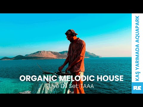 Organic Melodic House Mix | Live Dance Set: TAAA // Alex Macris - THEMBA, FNX OMAR, SHMN, Adassiya