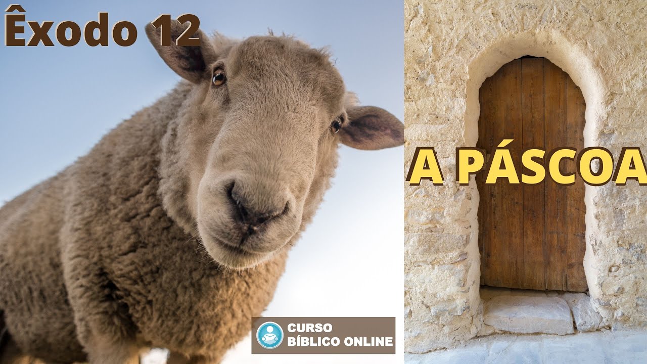 Êxodo 12 - A Páscoa do Senhor - O Cordeiro e o Sangue