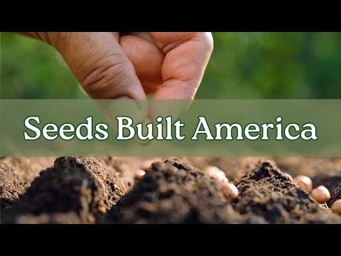 PINA: Seeds of Resilience in Permaculture Systems