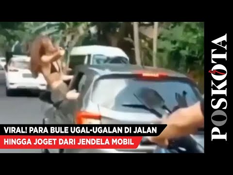 Viral! Para Bule Ugal-ugalan di Jalan, Hingga Joget dari Jendela Mobil