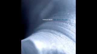 Harold Budd - The Room (Slower 800%-Ambient Music)