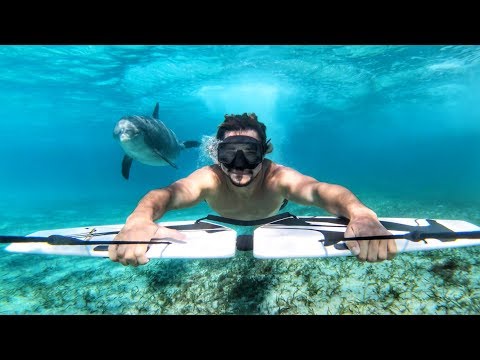 Austin Keen Surfing With Dolphins and Winning GoPro Million Dollar Challenge in Turks and Caicos