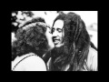 Bob Marley and the Wailers - Survival - Dennis ...