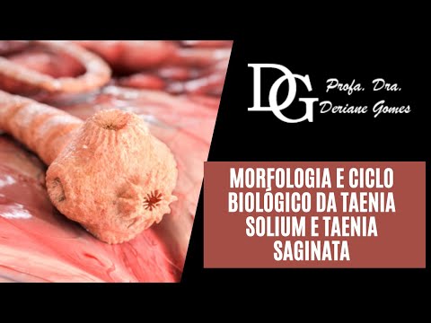 , title : '086. Morfologia e Ciclo Biológico da Taenia solium e Taenia saginata #DraDerianeGomes'