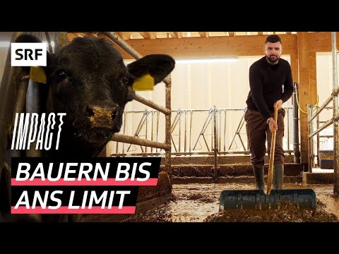 Depression and burnout in agriculture – Why are farmers particularly affected? | Impact | SRF