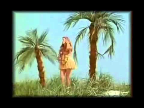 Abba Sitting In The Palmtree funny