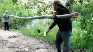 Download lagu haji Umar vs Joni😂😂😂👍 mp3