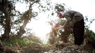 إحنا الشباب