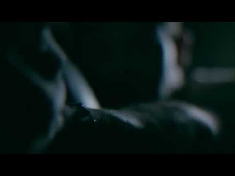 Rc La Sensacion - VALORA  #EnLaVidaReal | @dobleUnaranja