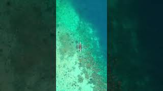 Crystal clear waters of the Philippines! #coron #palawan #philippines