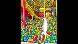 Everything's Gonna Be OK