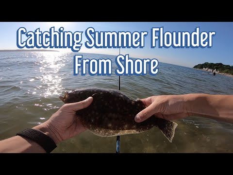 Catching Summer Flounder (Fluke) from Shore using Salmon Red Gulp