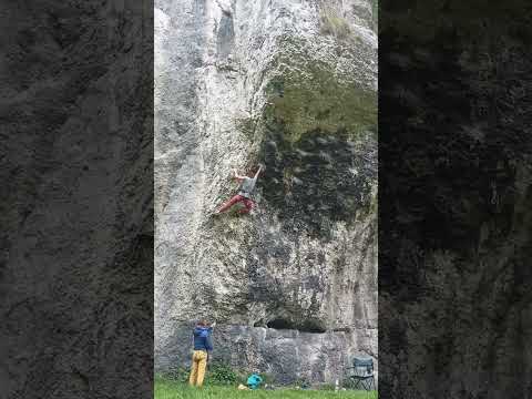 Murarz IV VI.5, Dupa Słonia