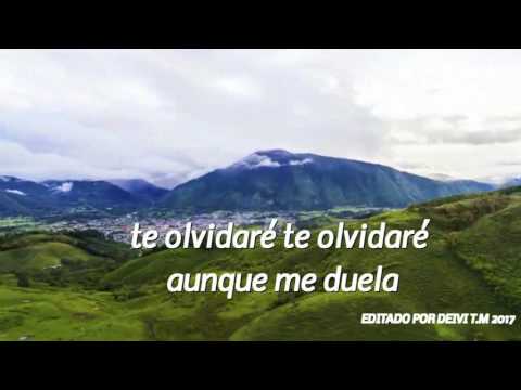 TE OLVIDARÉ - ANTOLOGIA  (LETRAS)