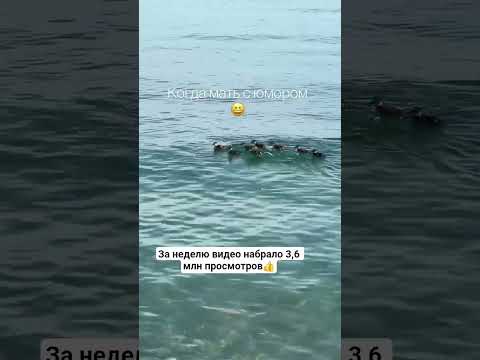 вирусное видео🔥 #животные #animals