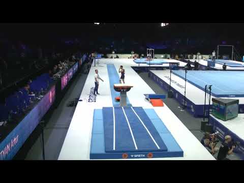 Artur Davtyan 🇦🇲 15.033 VAULT Q. World Championships Gymnastic Antwerp 2023