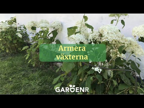Armera växterna - Trädgårdshacks med GardenR