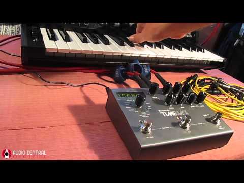 Strymon Timeline Digital Delay Korg Ms 20 Analog Synthesizer Synthtopia