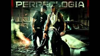 Blam Blam   Alexis   Fido Ft  Cosculluela Perreologia NEW ® Reggaeton 2011   YouTube