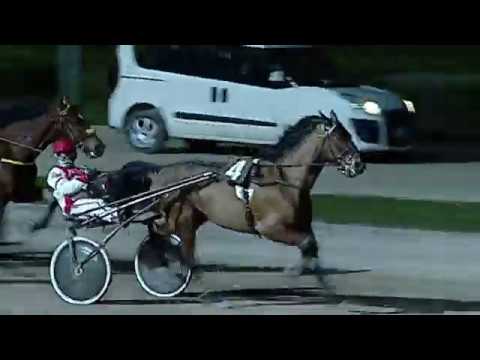 Aversa trotto 29 Febbraio 2020 - 7° Corsa