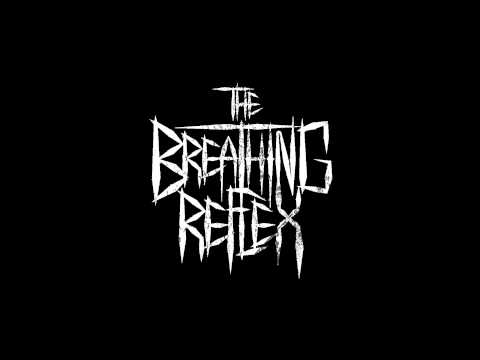 The Breathing Reflex - Stray Dogs