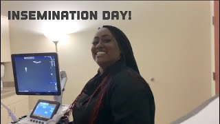 Insemination Day| Live IUI: Lesbian TTC Journey