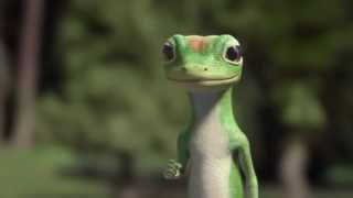 GEICO