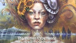 The Human Experience - 