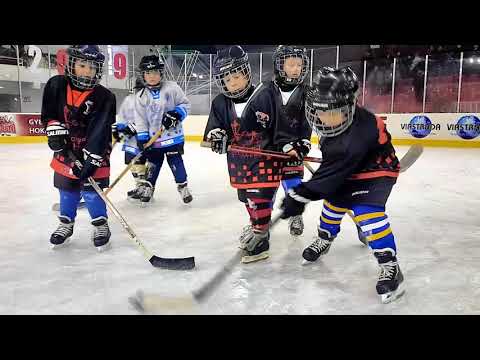Alcsíki Sasok vs Felcsik SK U8 Gyergyó