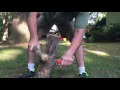 USA Made Blade Backyard Batoning Fiddleback, Fletcher and WA Surls Knives