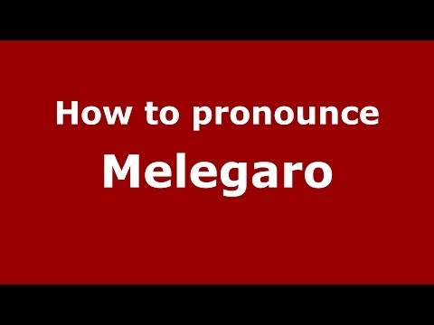 How to pronounce Melegaro (Italian/Italy)  - PronounceNames.com