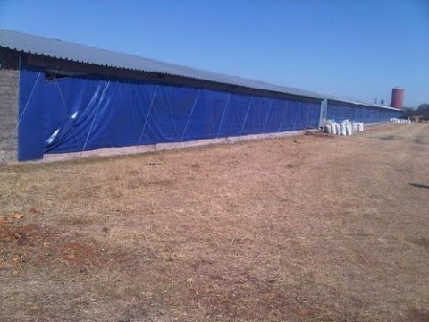HDPE Poultry Curtains Tarpaulins