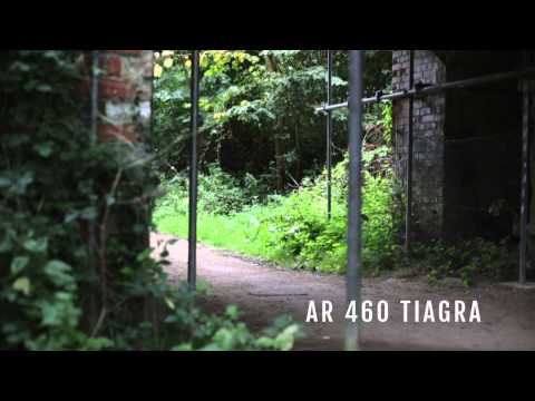 Mango Bikes Point AR. All Round Bike Overview