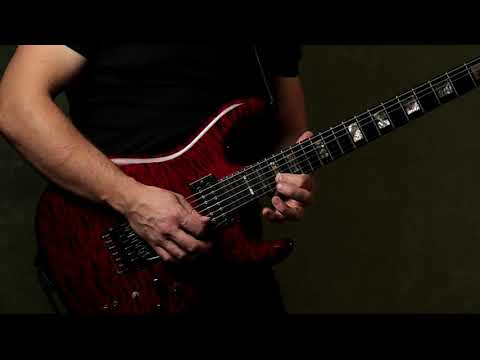 Inside The Sound - Horizon - Max Velychko (Guitar Playtrough) FRACTAL FM3