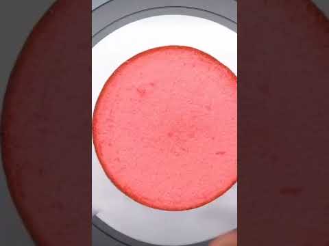 chocolate 🍫 cake 🎂