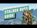 The Legend of Zelda: Tears of the Kingdom - Stalnox Miniboss Gameplay Walkthrough