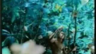 Deep Forest Media Luna