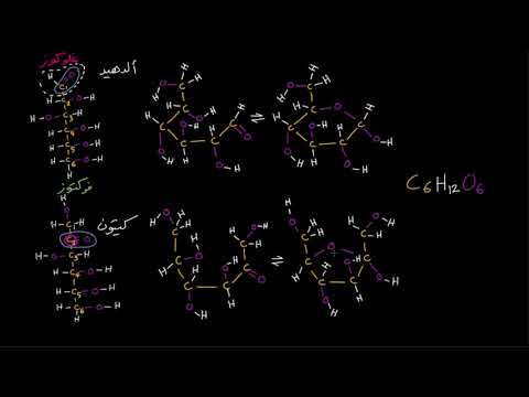 الصف العاشر الأحياء الجُزيئات الضخمة التركيب الجزيئي للفركتوز