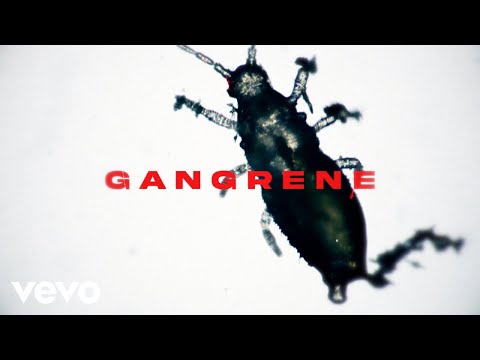 Video thumbnail for Gangrene