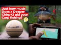 How Much Does The Deeper Fish Finder Aid Your Carp Fishing Packed Full Of Top Tips And Edges