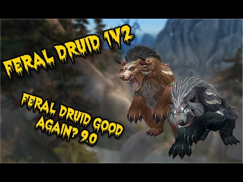 How To Win a 1v2 In Arena As a Feral Druid...