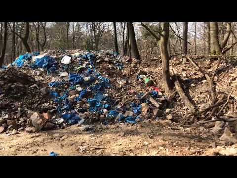 Niederwald///Mülldeponie einfach Müll im Wald vergraben 😞☹️
