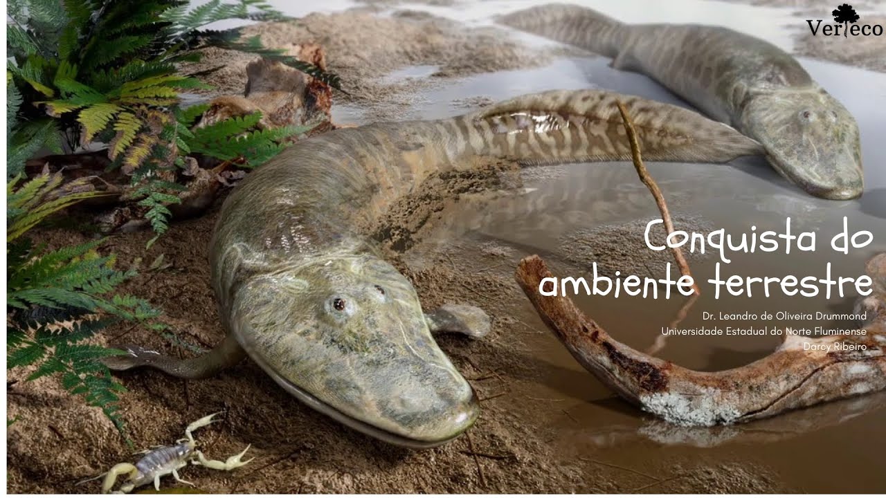 Conquista do ambiente terrestre pelos tetrápodes