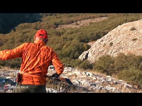 EN İYİ YABAN DOMUZU AVI, BEST WILD BOAR HUNTING 1