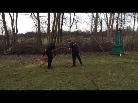 2017 04 18 VIDEO 00000078