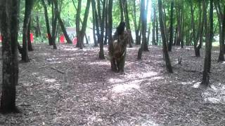 lonely angel with devil boy