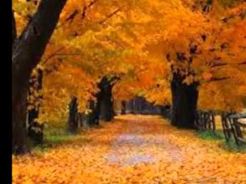 Moonilal Gildharie chutney