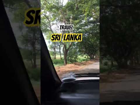 Beautiful nature 🍃🌳💫 Sri Lanka #travel #srilanka #naturelovers