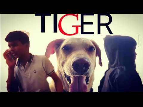 TIGER (2018)tamil psycho thriller short film