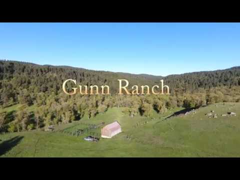 Gunn Ranch - Sundance, Wyoming Elk hunters paradise